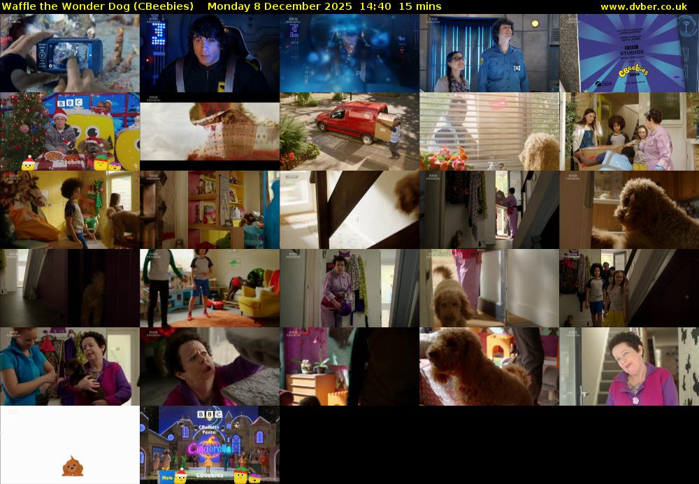 Waffle the Wonder Dog (CBeebies) Monday 8 December 2025 14:40 - 14:55