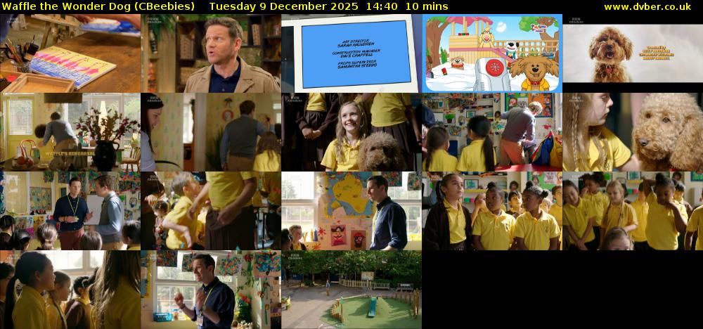 Waffle the Wonder Dog (CBeebies) Tuesday 9 December 2025 14:40 - 14:50