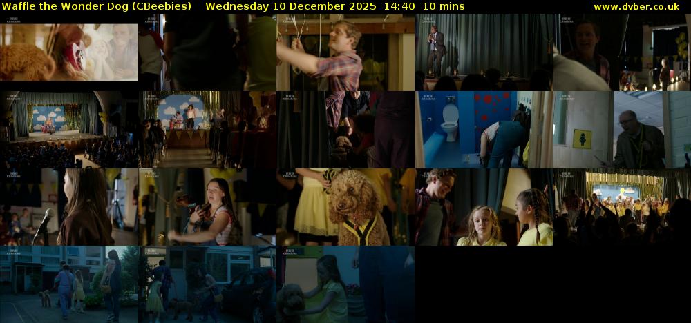 Waffle the Wonder Dog (CBeebies) Wednesday 10 December 2025 14:40 - 14:50