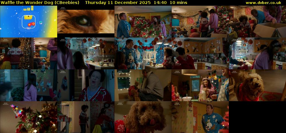 Waffle the Wonder Dog (CBeebies) Thursday 11 December 2025 14:40 - 14:50