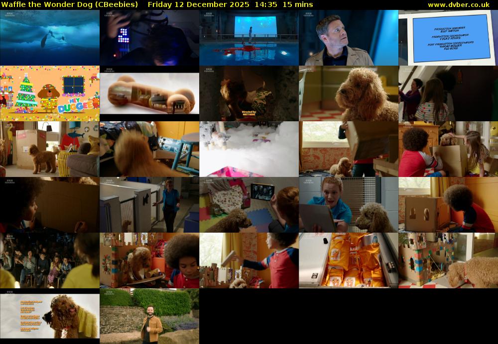 Waffle the Wonder Dog (CBeebies) Friday 12 December 2025 14:35 - 14:50