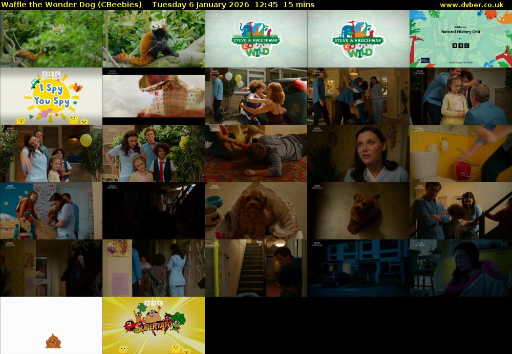 Waffle the Wonder Dog (CBeebies) Tuesday 6 January 2026 12:45 - 13:00