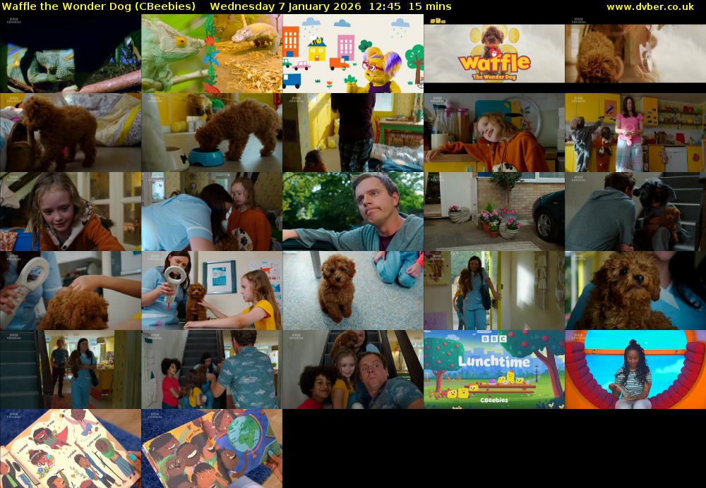 Waffle the Wonder Dog (CBeebies) Wednesday 7 January 2026 12:45 - 13:00