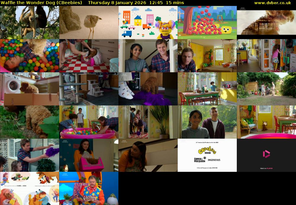 Waffle the Wonder Dog (CBeebies) Thursday 8 January 2026 12:45 - 13:00