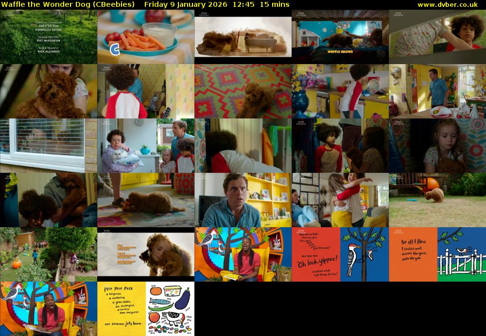 Waffle the Wonder Dog (CBeebies) Friday 9 January 2026 12:45 - 13:00