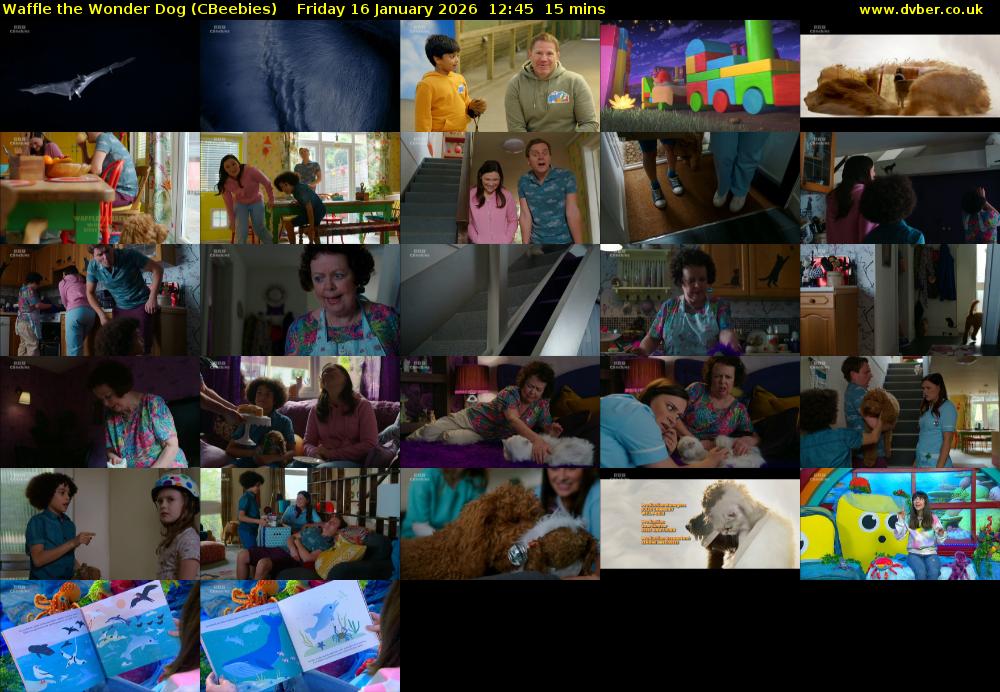 Waffle the Wonder Dog (CBeebies) Friday 16 January 2026 12:45 - 13:00