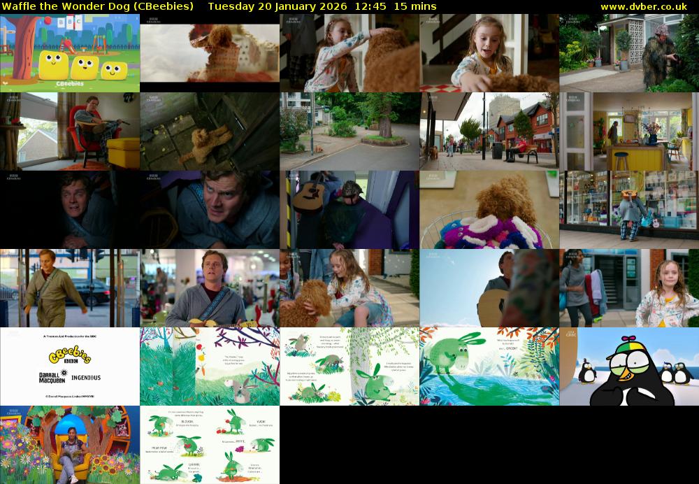 Waffle the Wonder Dog (CBeebies) Tuesday 20 January 2026 12:45 - 13:00