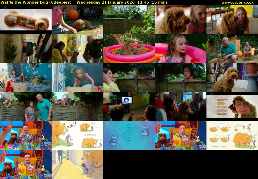 Waffle the Wonder Dog (CBeebies) Wednesday 21 January 2026 12:45 - 13:00