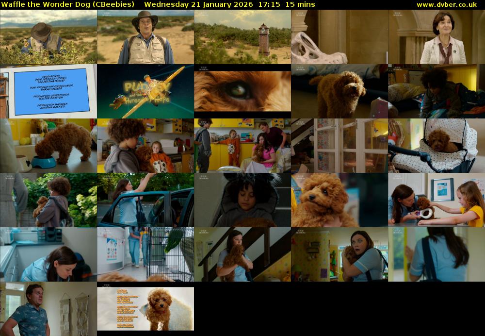 Waffle the Wonder Dog (CBeebies) Wednesday 21 January 2026 17:15 - 17:30