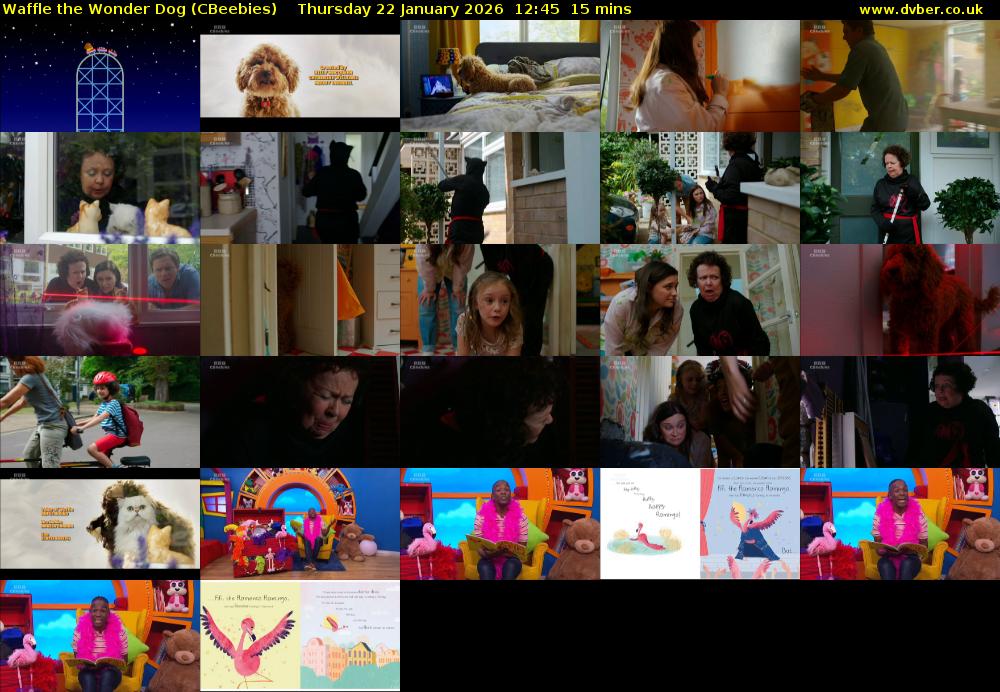 Waffle the Wonder Dog (CBeebies) Thursday 22 January 2026 12:45 - 13:00