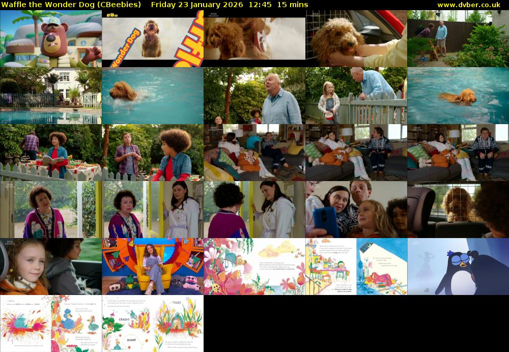 Waffle the Wonder Dog (CBeebies) Friday 23 January 2026 12:45 - 13:00