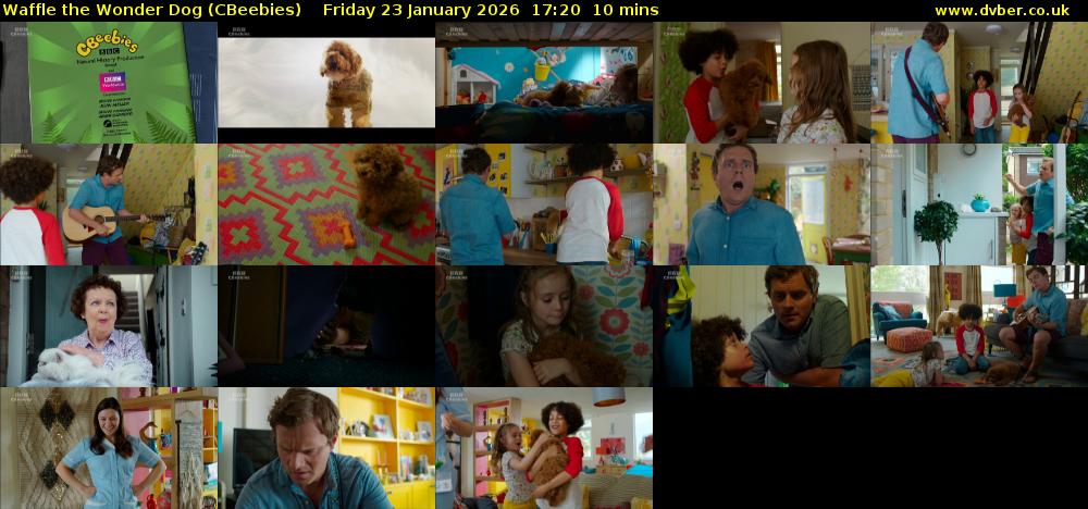 Waffle the Wonder Dog (CBeebies) Friday 23 January 2026 17:20 - 17:30