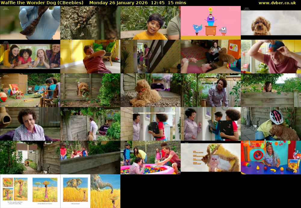Waffle the Wonder Dog (CBeebies) Monday 26 January 2026 12:45 - 13:00