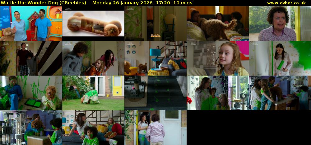 Waffle the Wonder Dog (CBeebies) Monday 26 January 2026 17:20 - 17:30