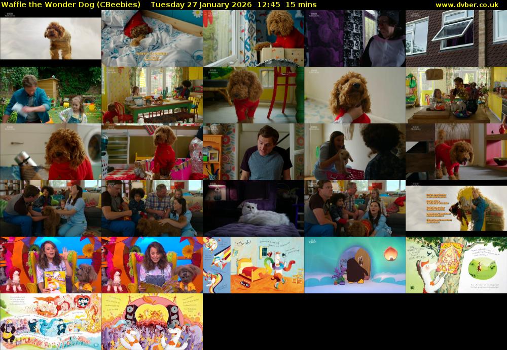 Waffle the Wonder Dog (CBeebies) Tuesday 27 January 2026 12:45 - 13:00