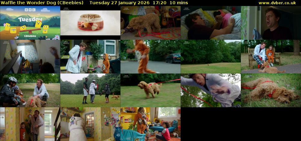 Waffle the Wonder Dog (CBeebies) Tuesday 27 January 2026 17:20 - 17:30