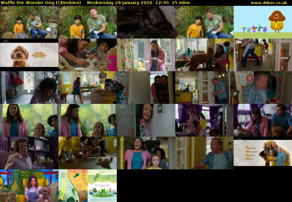 Waffle the Wonder Dog (CBeebies) Wednesday 28 January 2026 12:45 - 13:00