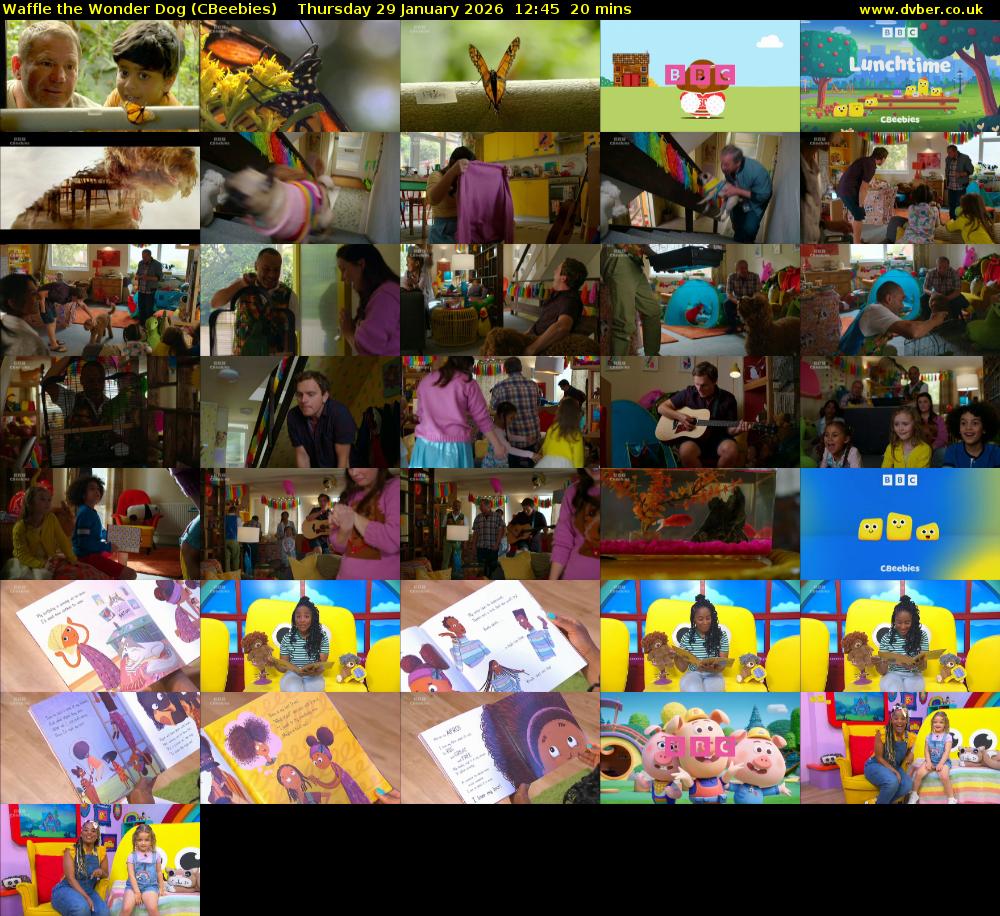 Waffle the Wonder Dog (CBeebies) Thursday 29 January 2026 12:45 - 13:05