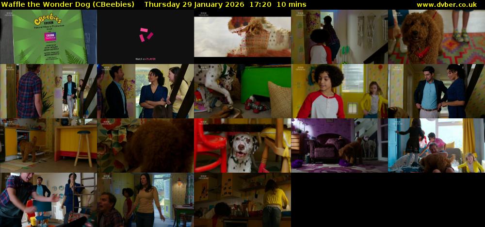 Waffle the Wonder Dog (CBeebies) Thursday 29 January 2026 17:20 - 17:30