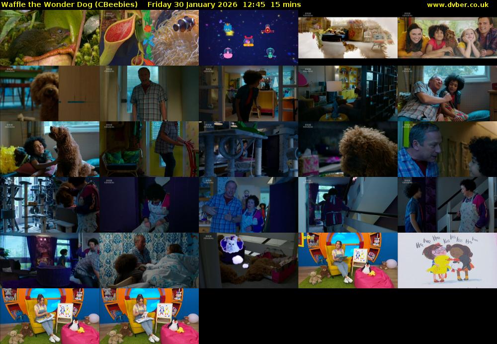 Waffle the Wonder Dog (CBeebies) Friday 30 January 2026 12:45 - 13:00
