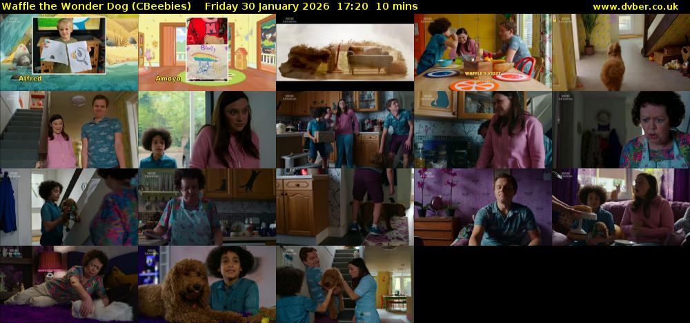 Waffle the Wonder Dog (CBeebies) Friday 30 January 2026 17:20 - 17:30