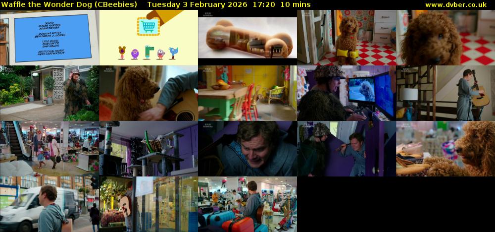 Waffle the Wonder Dog (CBeebies) Tuesday 3 February 2026 17:20 - 17:30