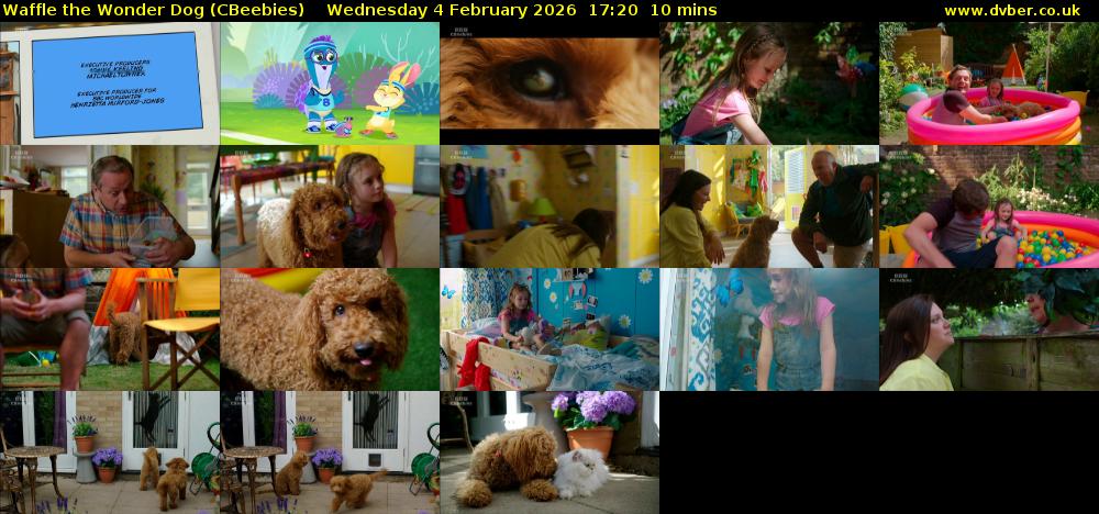 Waffle the Wonder Dog (CBeebies) Wednesday 4 February 2026 17:20 - 17:30