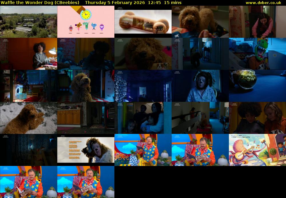 Waffle the Wonder Dog (CBeebies) Thursday 5 February 2026 12:45 - 13:00