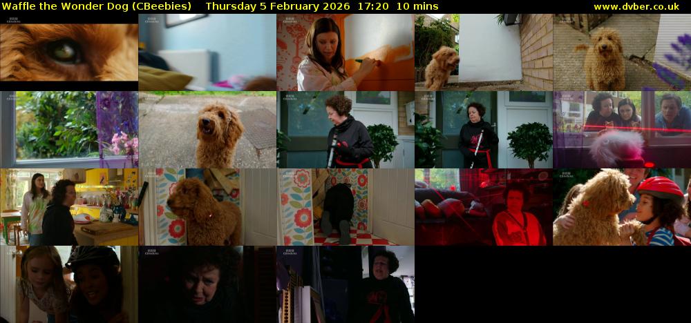 Waffle the Wonder Dog (CBeebies) Thursday 5 February 2026 17:20 - 17:30
