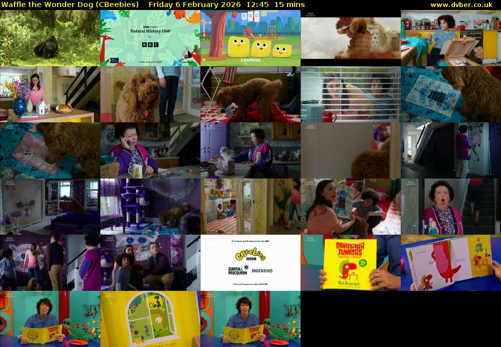 Waffle the Wonder Dog (CBeebies) Friday 6 February 2026 12:45 - 13:00