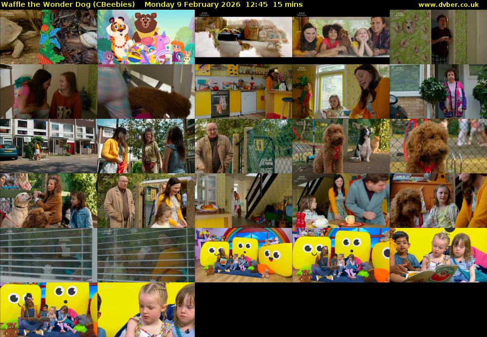 Waffle the Wonder Dog (CBeebies) Monday 9 February 2026 12:45 - 13:00
