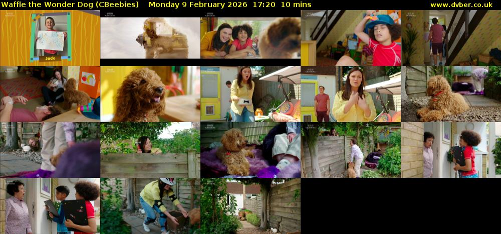 Waffle the Wonder Dog (CBeebies) Monday 9 February 2026 17:20 - 17:30
