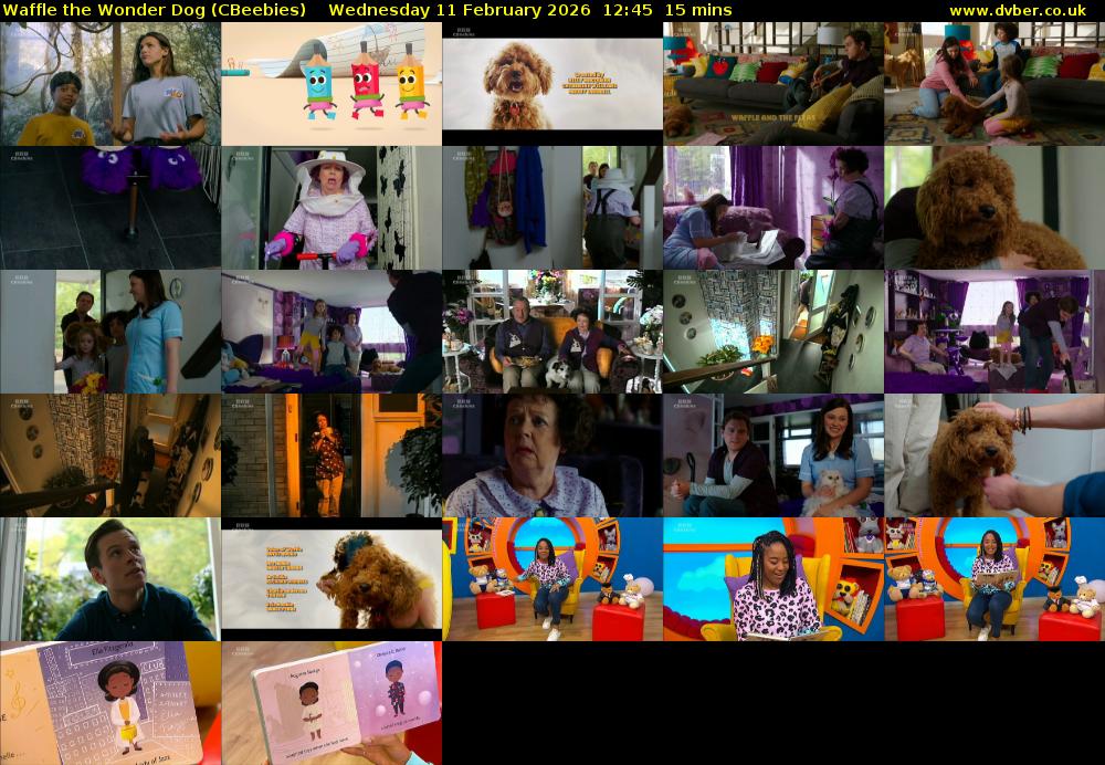 Waffle the Wonder Dog (CBeebies) Wednesday 11 February 2026 12:45 - 13:00