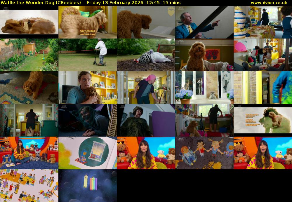 Waffle the Wonder Dog (CBeebies) Friday 13 February 2026 12:45 - 13:00