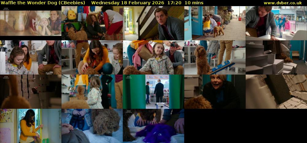 Waffle the Wonder Dog (CBeebies) Wednesday 18 February 2026 17:20 - 17:30