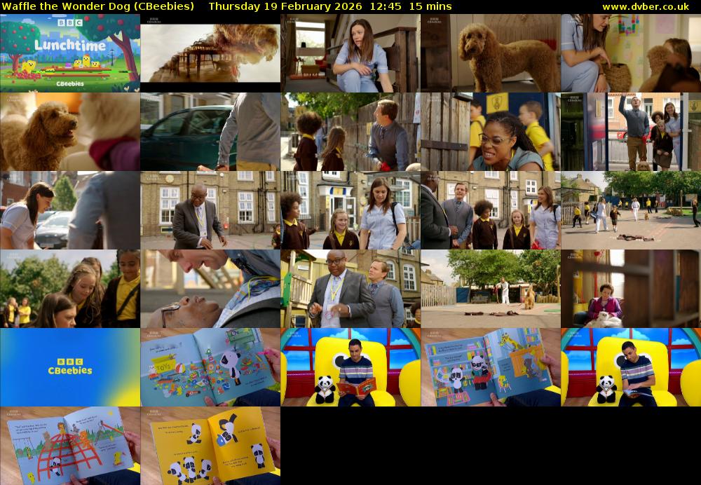 Waffle the Wonder Dog (CBeebies) Thursday 19 February 2026 12:45 - 13:00