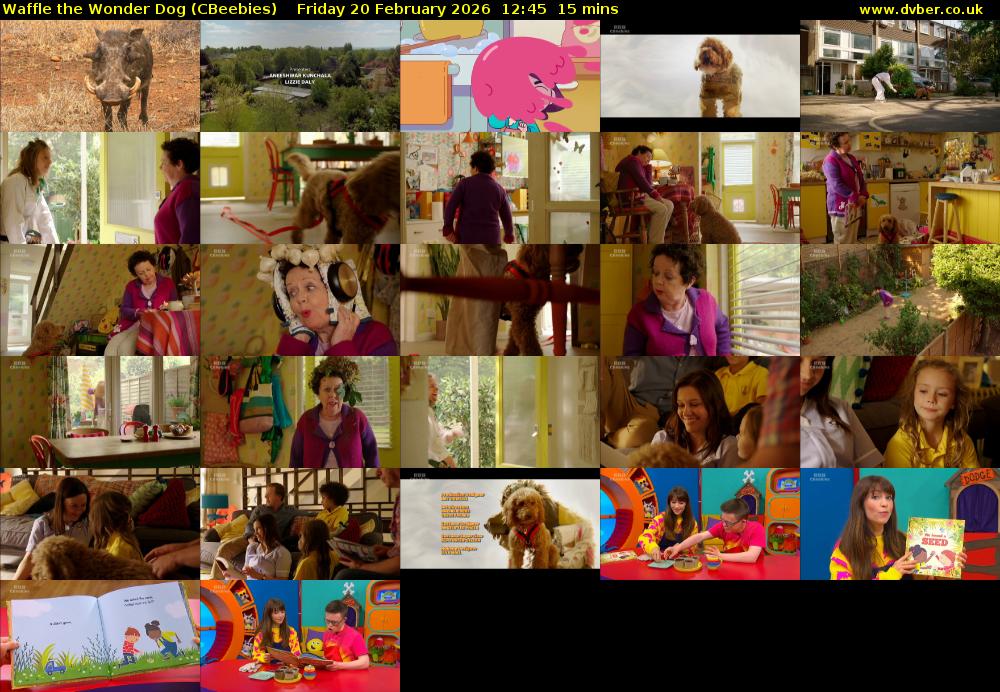 Waffle the Wonder Dog (CBeebies) Friday 20 February 2026 12:45 - 13:00