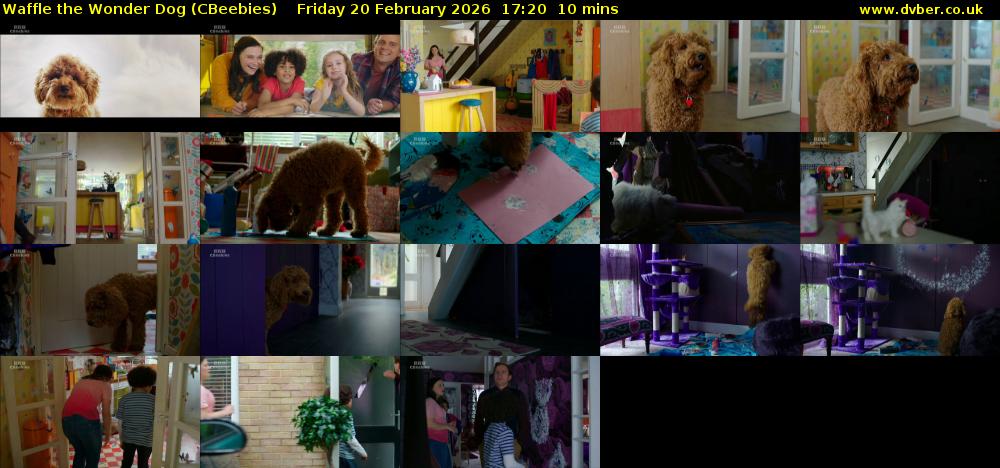 Waffle the Wonder Dog (CBeebies) Friday 20 February 2026 17:20 - 17:30