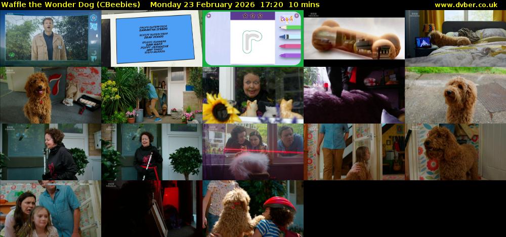 Waffle the Wonder Dog (CBeebies) Monday 23 February 2026 17:20 - 17:30