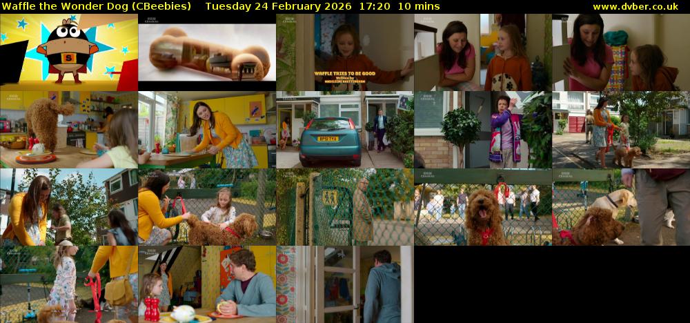 Waffle the Wonder Dog (CBeebies) Tuesday 24 February 2026 17:20 - 17:30