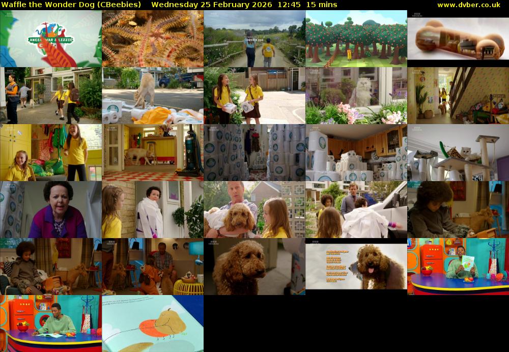 Waffle the Wonder Dog (CBeebies) Wednesday 25 February 2026 12:45 - 13:00