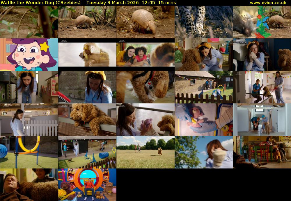 Waffle the Wonder Dog (CBeebies) Tuesday 3 March 2026 12:45 - 13:00