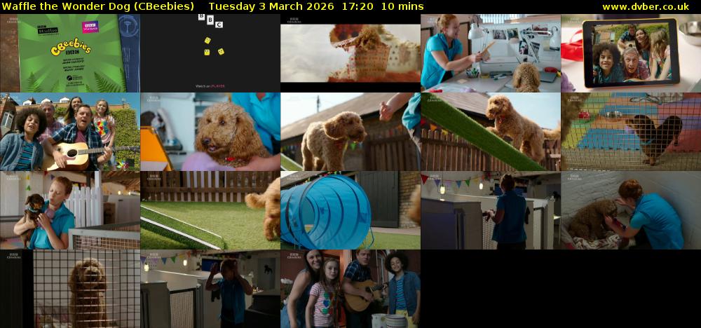 Waffle the Wonder Dog (CBeebies) Tuesday 3 March 2026 17:20 - 17:30