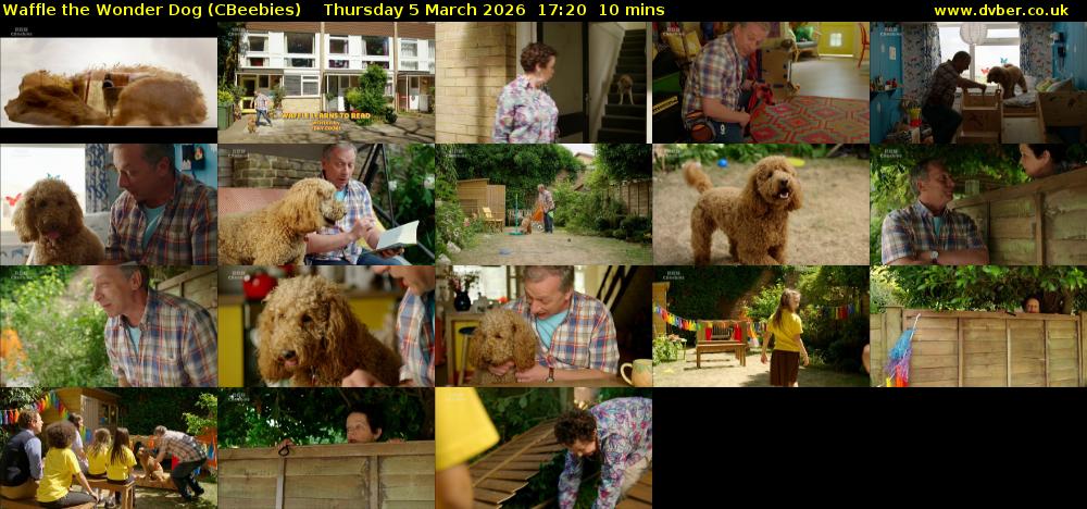 Waffle the Wonder Dog (CBeebies) Thursday 5 March 2026 17:20 - 17:30