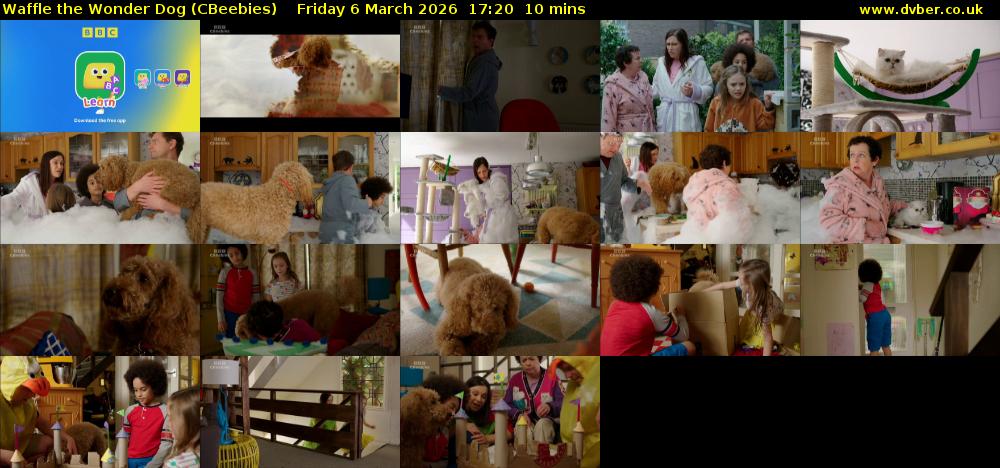 Waffle the Wonder Dog (CBeebies) Friday 6 March 2026 17:20 - 17:30