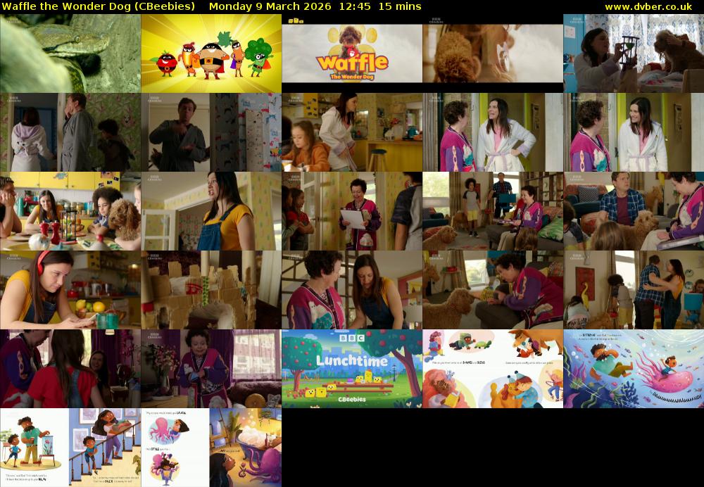Waffle the Wonder Dog (CBeebies) Monday 9 March 2026 12:45 - 13:00