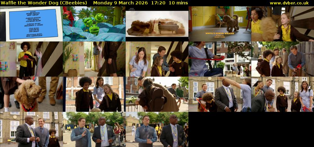 Waffle the Wonder Dog (CBeebies) Monday 9 March 2026 17:20 - 17:30