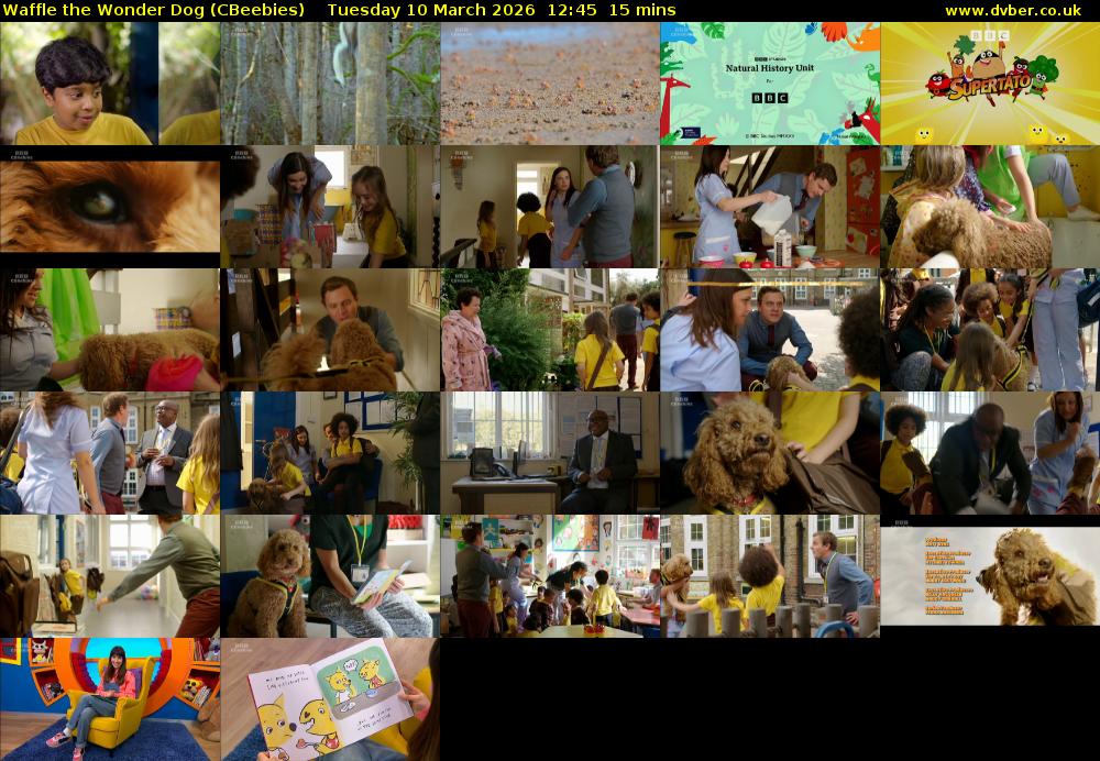 Waffle the Wonder Dog (CBeebies) Tuesday 10 March 2026 12:45 - 13:00