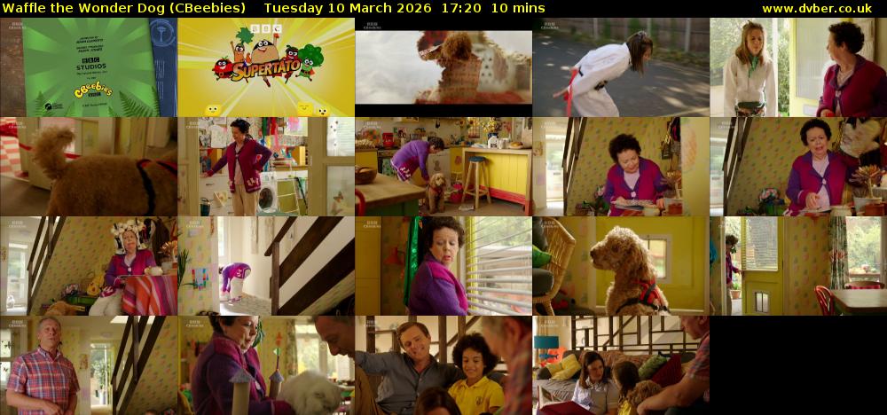 Waffle the Wonder Dog (CBeebies) Tuesday 10 March 2026 17:20 - 17:30