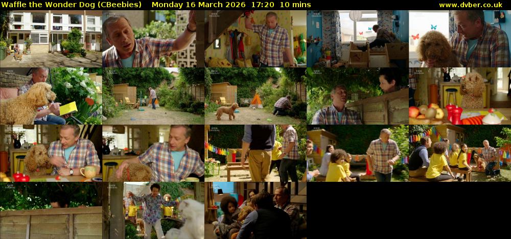 Waffle the Wonder Dog (CBeebies) Monday 16 March 2026 17:20 - 17:30